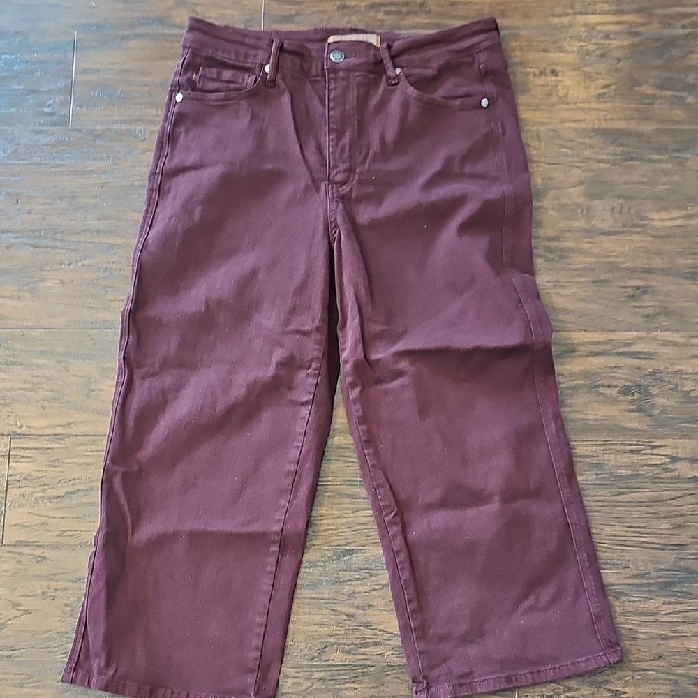 Judy Blue Deep Burgundy Jeans